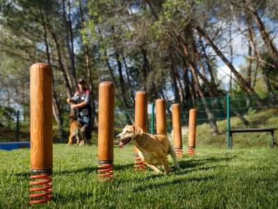 Kamp Resort Lanterna Happy Dog Village | AdriaCamps
