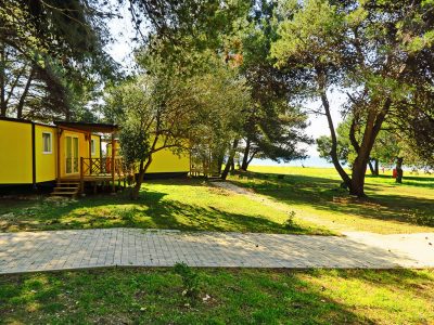 Kamp Pineta i mobilna kucica Galija - u blizini mora | AdriaCamps