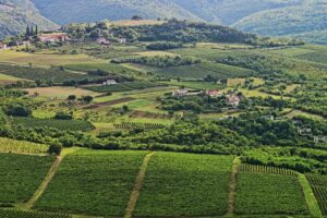 Inland Istria landscape