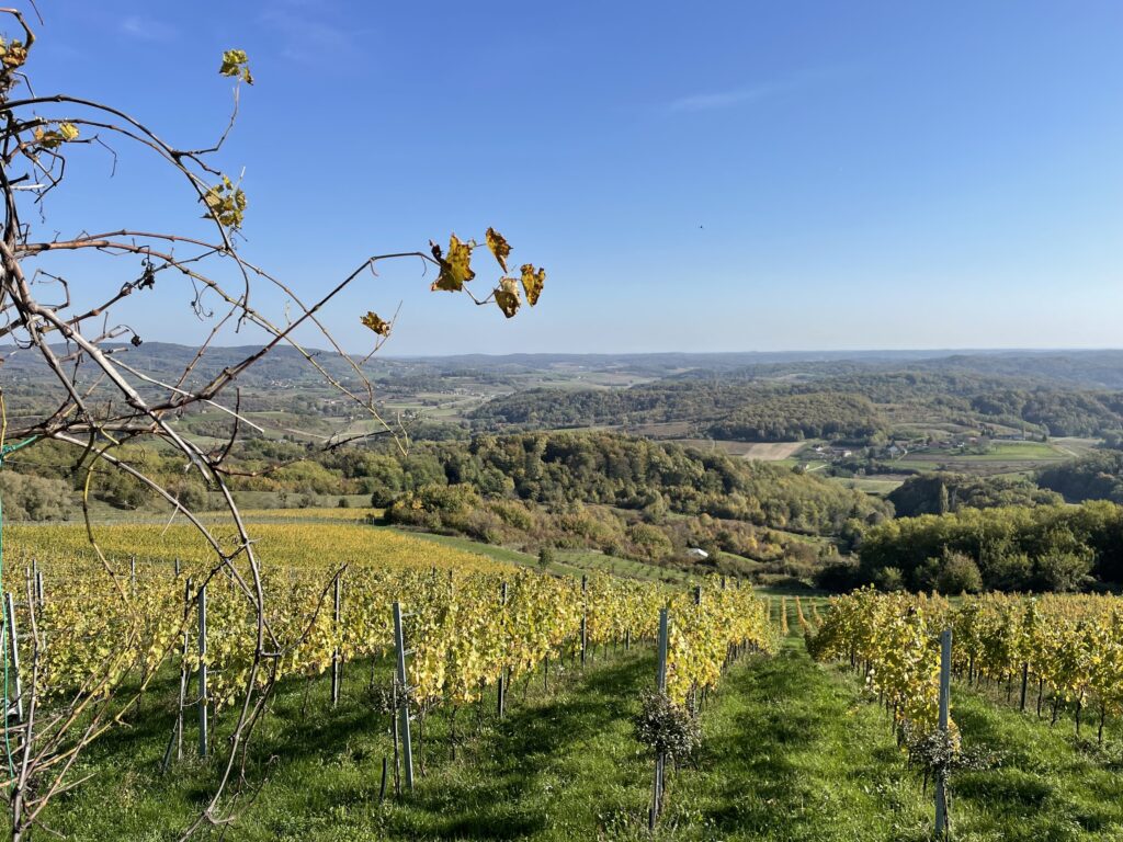 Vineyards in Hrvatsko Zagorje