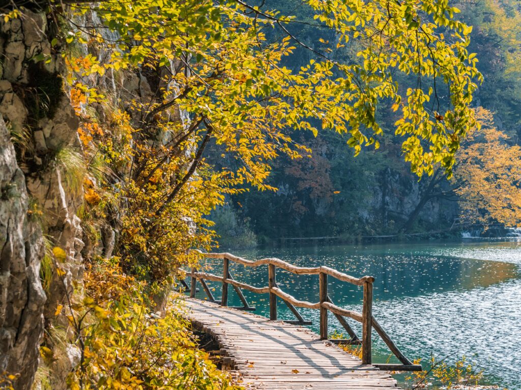 Scenic shot of orange trees and a wooden path at Plitvice Lakes national park in Croatia