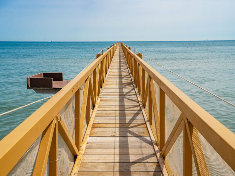Pineta Sul Mare Pogled Na More
