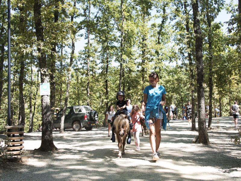 Kamp Orlando In Chianti Jahanje Konja