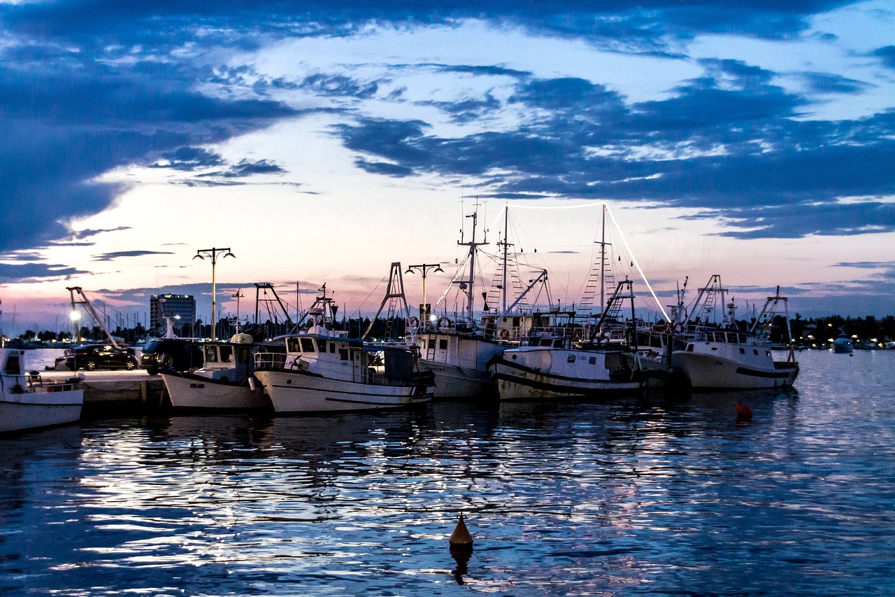 Harbour in the city of Umag