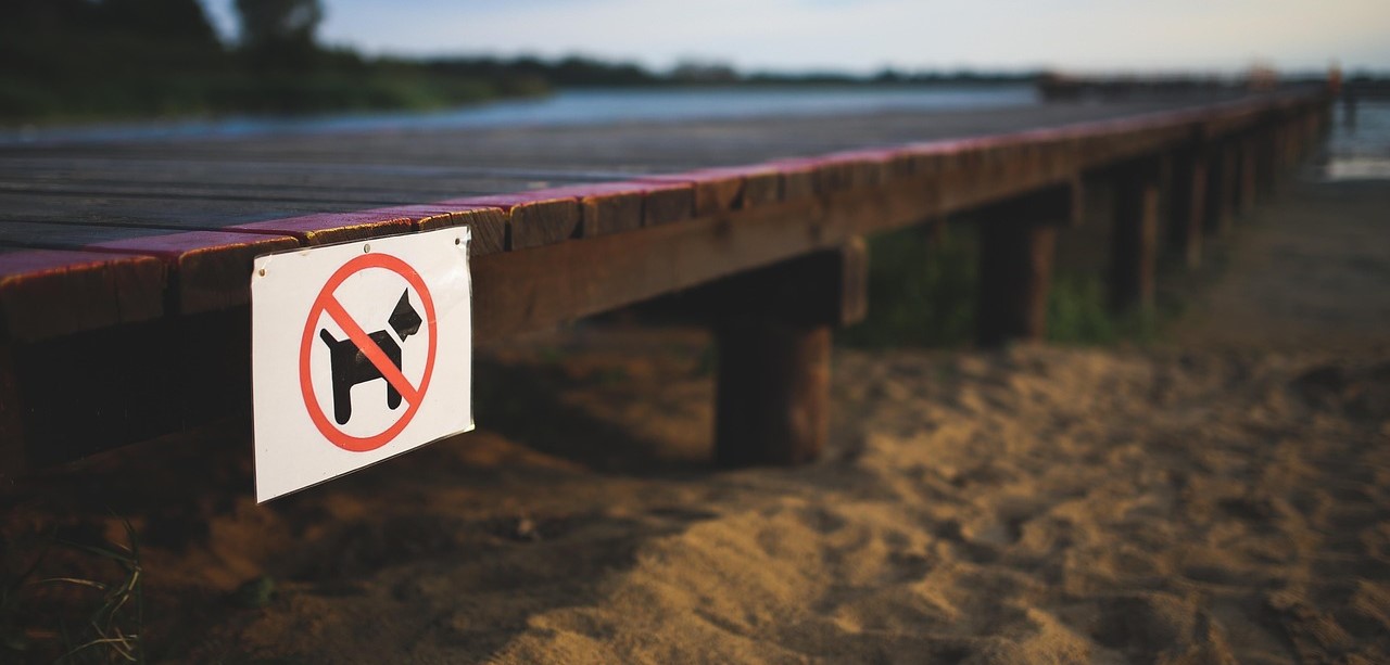 dog-not-allowed